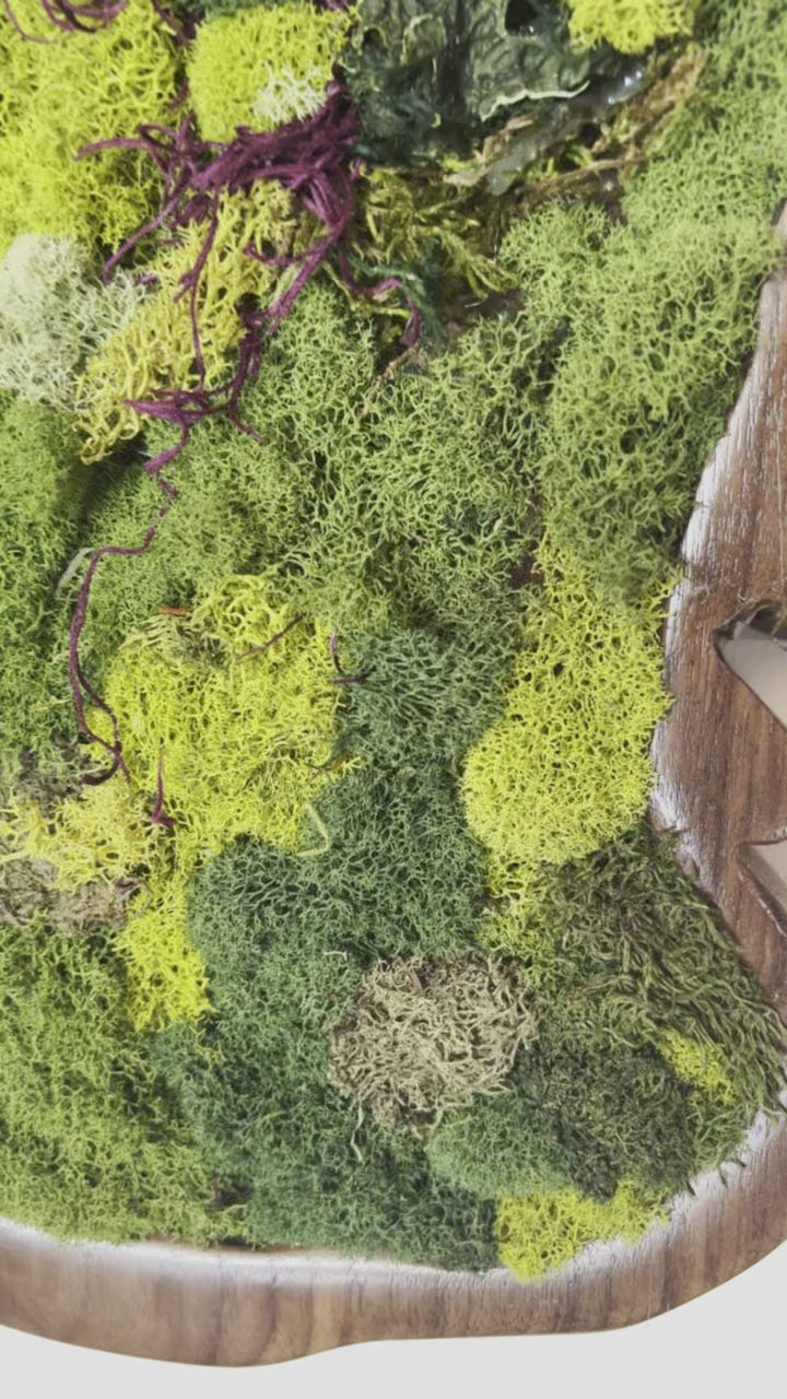 Lake Tahoe Moss Wall Art In Walnut Wood